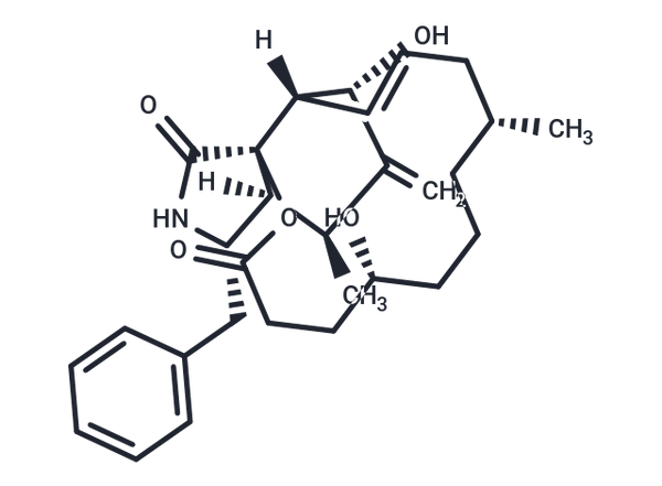 Dihydrocytochalasin B – Figure 1 of 1