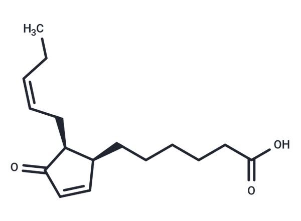 dinor-12-oxo Phytodienoic Acid – Figure 1 of 1