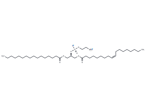 1-Palmitoyl-3-oleoyl-sn-glycero-2-PE – Figure 1 of 1