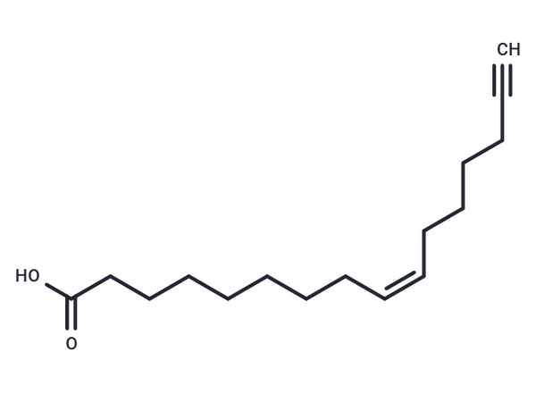 Palmitoleic Acid Alkyne – Figure 1 of 1