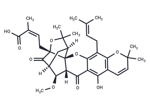 Moreollic acid – Figure 1 of 1