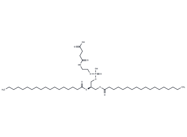 DSPE-succinic acid – Figure 1 of 1