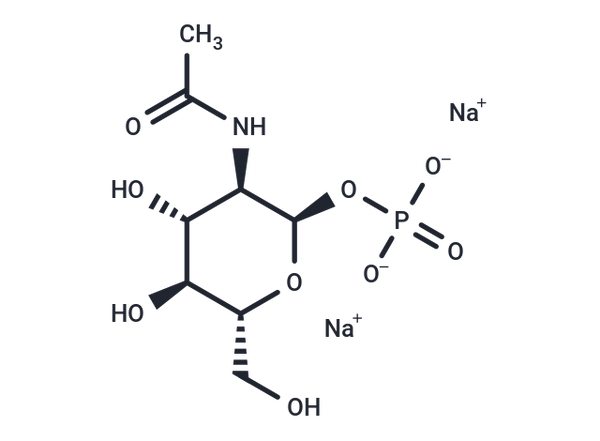 N-Acetyl-α-D-glucosamine 1-phosphate disodium – Figure 1 of 1