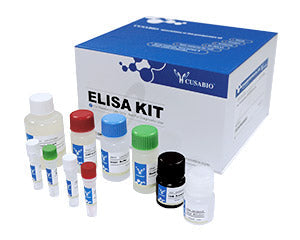 Human Epstein-Barr virus nuclear antigen (EBNA1) antibody (IgG) ELISA kit – Figure 1 of 1