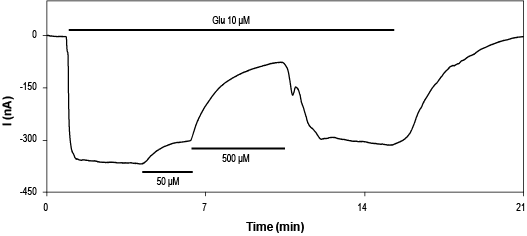 DNQX disodium salt – Figure 1 of 2