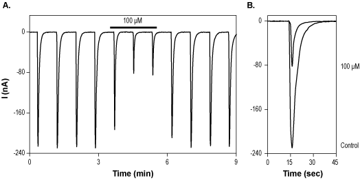 DL-AP5 – Figure 1 of 2
