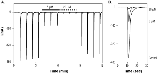 5,7-Dichlorokynurenic acid – Figure 1 of 2