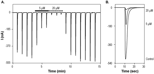 5,7-Dichlorokynurenic acid monohydrate – Figure 1 of 2