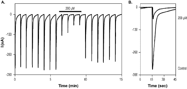 DL-AP7 – Figure 1 of 2