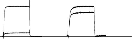 β-Dendrotoxin – Figure 1 of 1