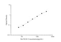 Uncoated Rat NGAL (Neutrophil Gelatinase Associated Lipocalin) ELISA Kit – Figure 1 of 4