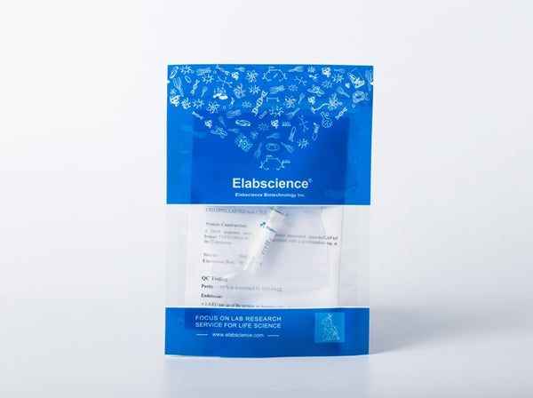 Recombinant Human HIP2/UBE2K Protein (GST Tag) – Figure 1 of 1