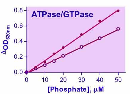QuantiChrom™ ATPase/GTPase Assay Kit