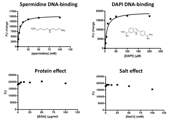 DNA-Binding Fluorescence Interference Assay Kit – Figure 1 of 1