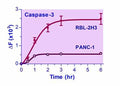 QuantiFluo™ Caspase-3 Assay Kit