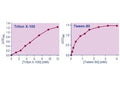 QuantiChrom™ Detergent Assay Kit.