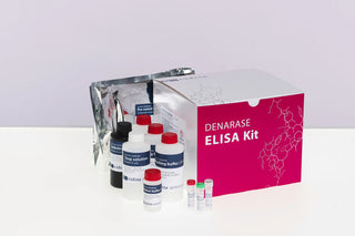Denarase® ELISA Kit — The One-for-All Serratia marcescens ELISA Kit