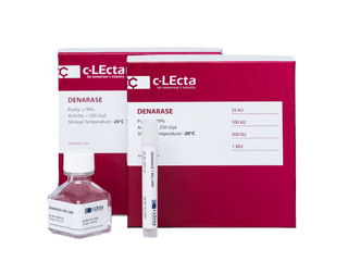 Denarase® — Precision Nuclease for Cleaner Bioprocessing