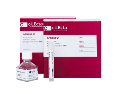 DENARASE®- Precision Nuclease for Cleaner Bioprocessing