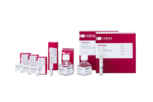 Denarase® Endonuclease — 10% Off One Order