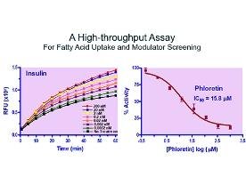QuantiChrom™ Fatty Acid Uptake Assay Kit