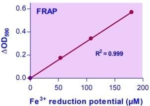 QuantiChrom™ FRAP Assay Kit