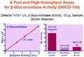 QuantiChrom™ β-Glucuronidase Assay Kit