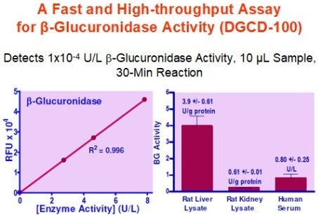 QuantiChrom™ β-Glucuronidase Assay Kit