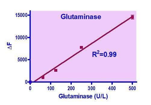 QuantiFluo™ Glutaminase Assay Kit