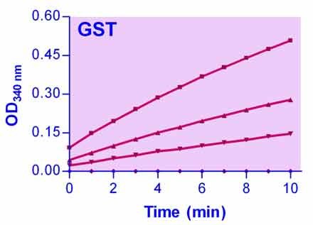QuantiChrom™ Glutathione S-transferase Assay Kit