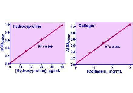 QuantiChrom™Hydroxyproline Assay Kit