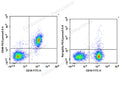 PE/Cyanine5.5 Anti-Mouse CD40 Antibody[FGK4.5/FGK45] – Figure 1 of 2