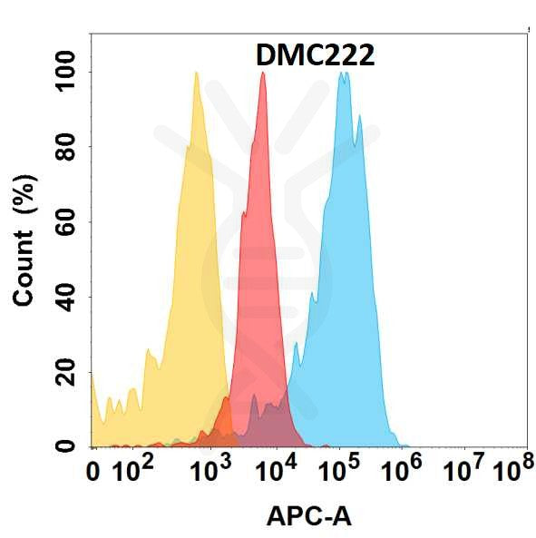 Anti-PCSK9 antibody(DMC222), IgG1 Chimeric mAb – Figure 1 of 1
