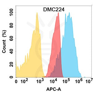 Anti-CD112 antibody(DMC224), IgG1 Chimeric mAb – Figure 1 of 1