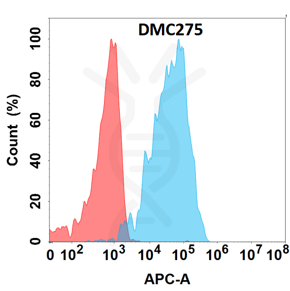 Anti-ALB antibody(DMC275), IgG1 Chimeric mAb – Figure 1 of 1