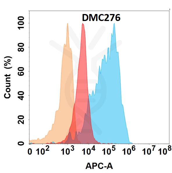 Anti-VEGFA antibody(DMC276), IgG1 Chimeric mAb – Figure 1 of 1