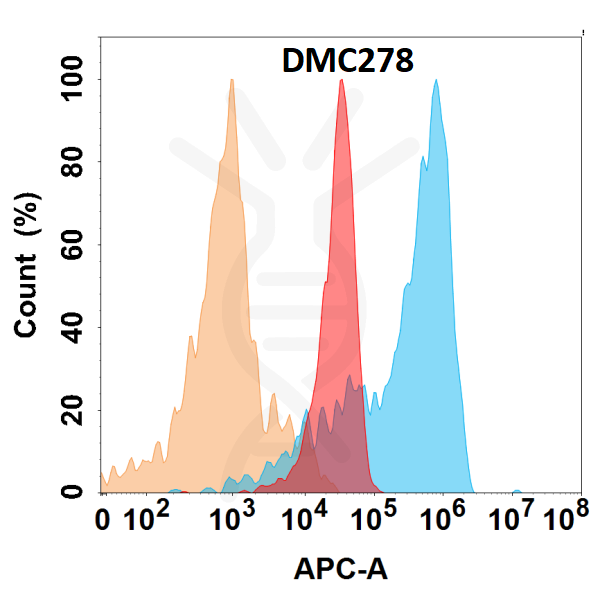 Anti-JAM-A antibody(DMC278), IgG1 Chimeric mAb – Figure 1 of 1
