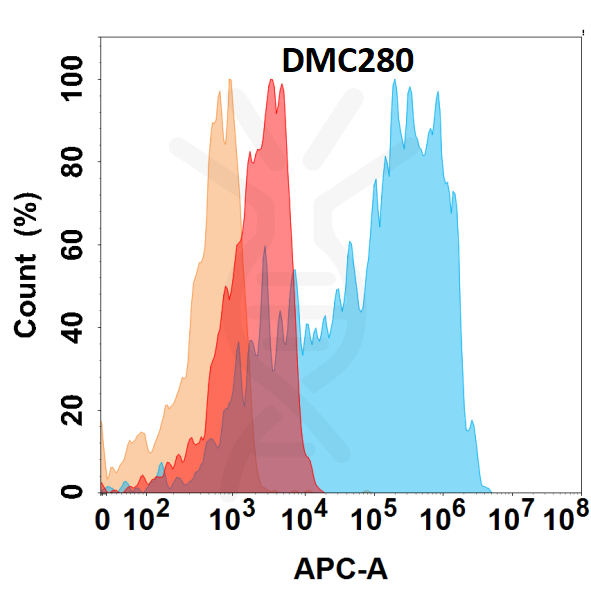 Anti-CD21 antibody(DMC280), IgG1 Chimeric mAb – Figure 1 of 1