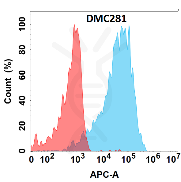 Anti-AFP antibody(DMC281), IgG1 Chimeric mAb – Figure 1 of 1