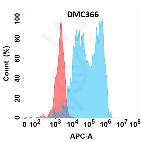 Anti-CFB antibody(DMC366), IgG1 Chimeric mAb – Figure 1 of 1