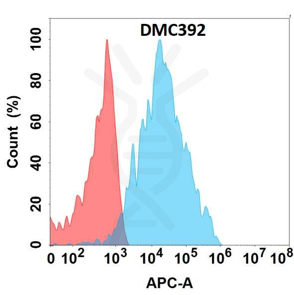 Anti-B4GALT1 antibody(DMC392), IgG1 Chimeric mAb – Figure 1 of 1