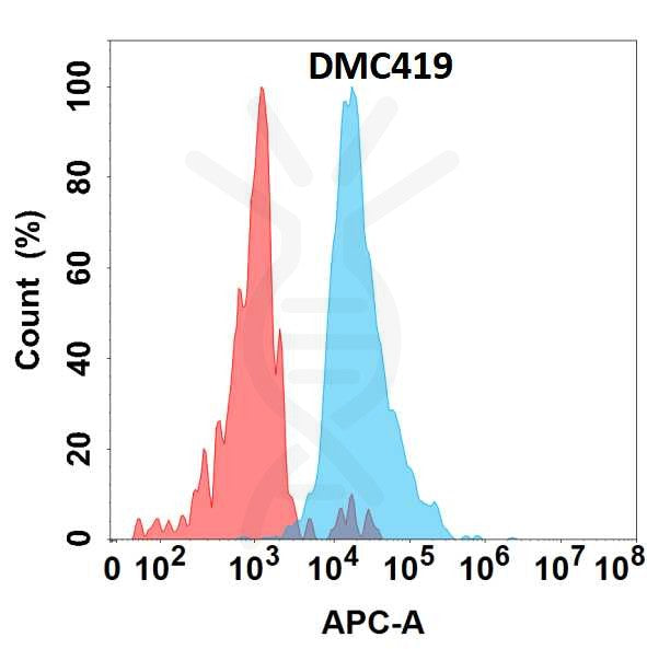 Anti-IL-6 antibody(DMC419), IgG1 Chimeric mAb – Figure 1 of 1