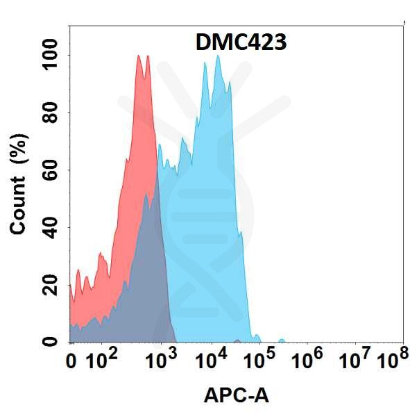 Anti-CD2 antibody(DMC423), IgG1 Chimeric mAb – Figure 1 of 1