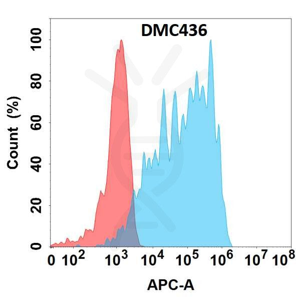 Anti-CD83 antibody(DMC436), IgG1 Chimeric mAb – Figure 1 of 1