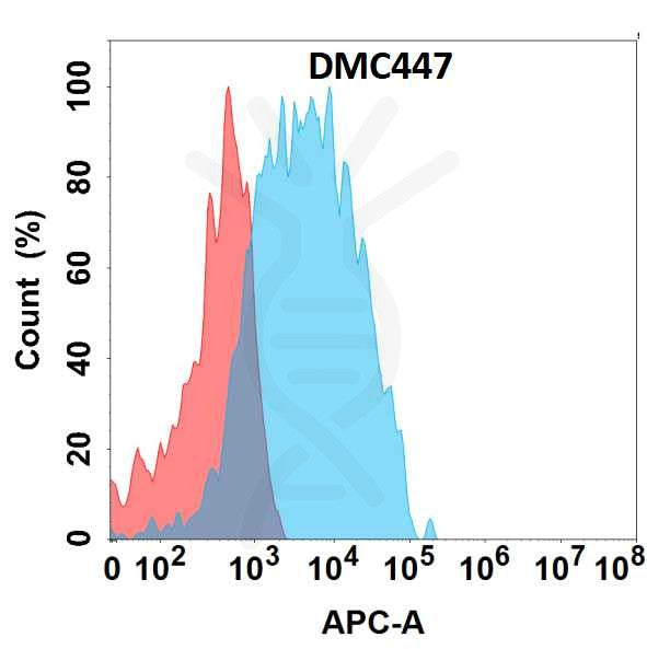 Anti-CCR2 antibody(DMC447), IgG1 Chimeric mAb – Figure 1 of 1