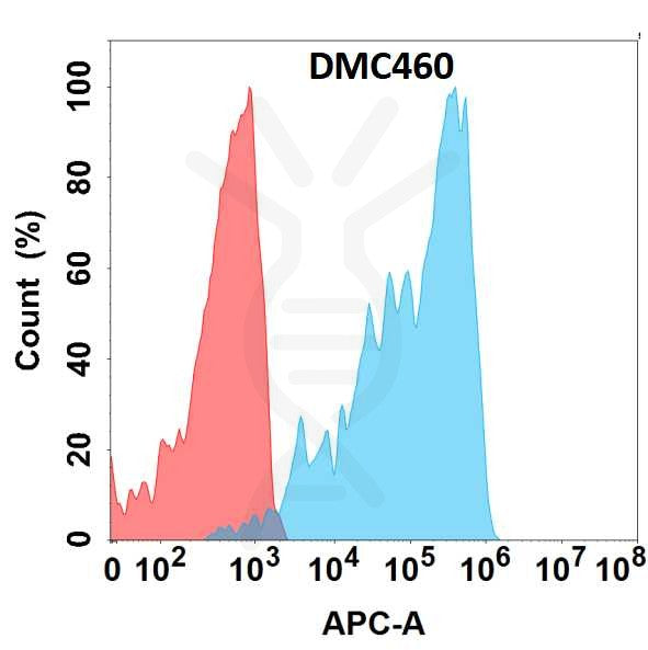 Anti-FGFR4 antibody(DMC460), IgG1 Chimeric mAb – Figure 1 of 1