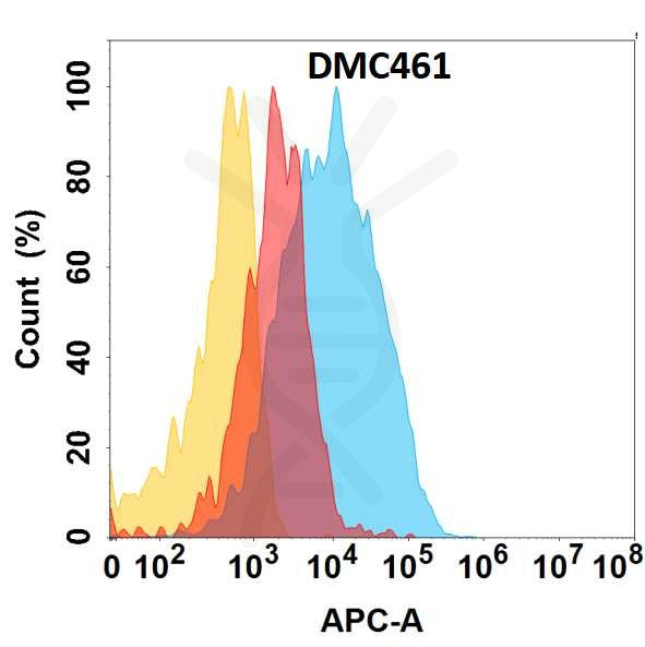 Anti-CLU antibody(DMC461), IgG1 Chimeric mAb – Figure 1 of 1
