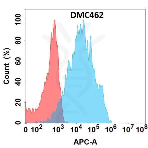 Anti-PRLR antibody(DMC462), IgG1 Chimeric mAb – Figure 1 of 1