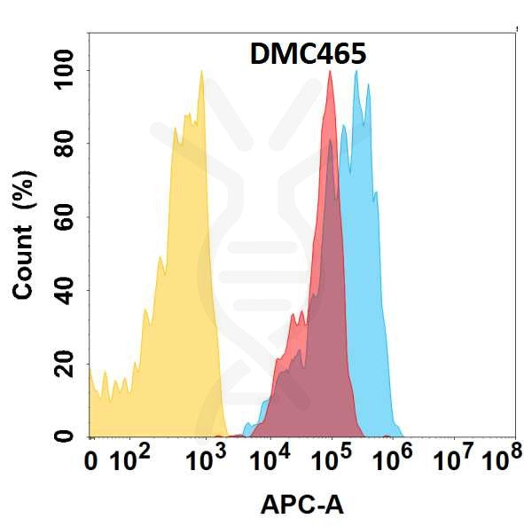 Anti-CCR1 antibody(DMC465), IgG1 Chimeric mAb – Figure 1 of 1