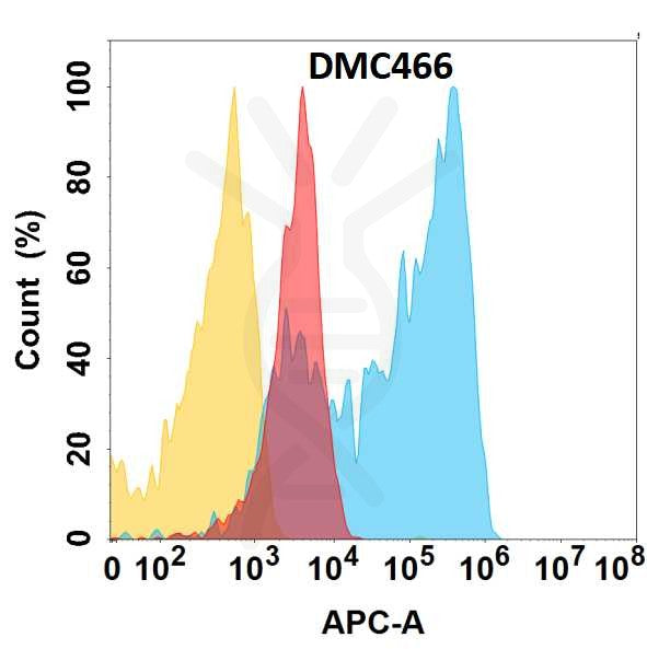 Anti-CSPG4 antibody(DMC466), IgG1 Chimeric mAb – Figure 1 of 1